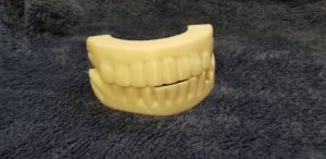 3D printed replica of George Washington’s teeth