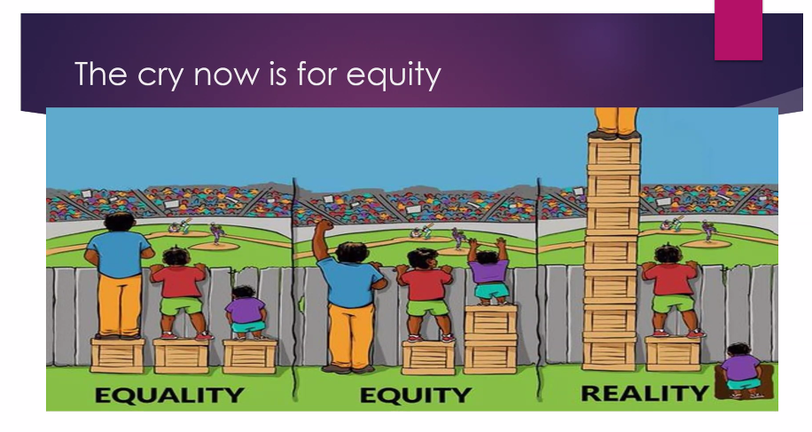 This image from Dr. Bright's presentation illustrates the difference between equality and equity.